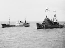 Image result for Tan 1964 Fleet