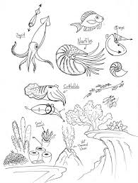 Pin By Keo Art On How To Draw Sea Creatures Art Sea Creatures Drawing Ocean Drawing