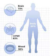 Plants also undergo the process of osmosis, in the same way that animals cells do. Body Water Percentage Health Insights Withings