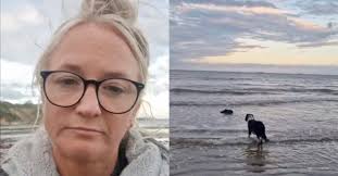 She's Completing Her Son's Bucket List After He Passed Away Following A  Battle With Duchenne Muscular Dystrophy