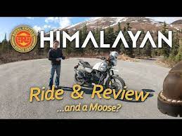 Long 2018 Royal Enfield Himalayan Ride Review And A Moose Youtube Royal Enfield Enfield Himalayan Royal
