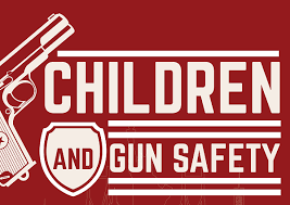 Image result for Gun Safety