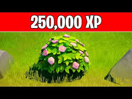 Every season we produce the biggest, best bulbs from the fertile fields of holland to gardeners all over. How To Destroy Shrubs In Fortnite Season 6 Explained Firstsportz