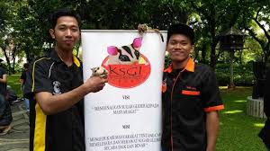 Sugar Glider Hewan Berkantung Asli Papua Yang Kian Digemari