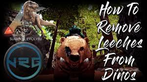 Leeches don't take enough blood for blood loss to be a worry here, and since they don't spread disease, there's really no harm in letting them fall. How To Remove Leeches From Your Dinos Ark Survival Evolved Youtube