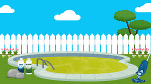 How To Get Rid Of Mustard Algae In A Pool
