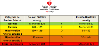 Cuando Debemos Considerar Alta La Presion Arterial El Observador