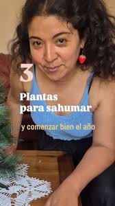 Limpia tu espacio y recibe el 2026 con la mejor energía. ✨🌿, ​1️⃣ Salvia  para limpiar., 2️⃣ Romero para proteger., 3️⃣ Canela para atraer., ​¿Cuál  de estas tres plantas es tu favorita para sahumar? 👇, ...