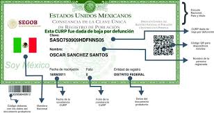 Puedes consultarnos gratis a esta dirección para atenderte de forma personal : Consultar Curp Gratis En Guerrero Sacar Para Imprimir