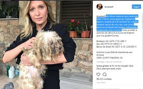 Este canal é administrado por fãs, não somos a luisa mell e nenhum membro de sua equipe, e muito menos queremos nos passar por ela. Ong De Luisa Mell Resgata 135 Caes De Maus Tratos Em Canil De Osasco Bicharada Cidadeverde Com