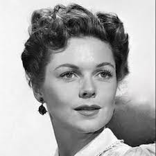 Watch Live TV, Movies, and TV Shows Free Online