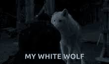 #anime #animation #screen anime #screenanime #anime limited. White Wolf Gifs Tenor