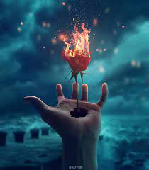 Photo manipulations are fun to create and fun to look at. How To Make Simple Photo Manipulation Ideas Burning Rose Rafy A
