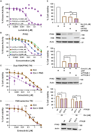 Image result for ROS1 Inhibitor