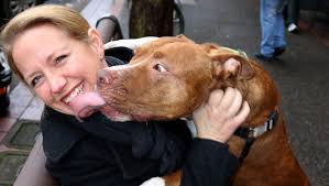 Of pit bulls, peas and poinsettias