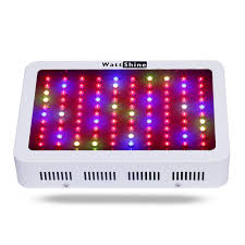 Check spelling or type a new query. 300 Watt Led Wachsen Licht Fur Indoor Blume Pflanzen Gewachshaus Photosynthese Pflanzen Fullen Licht Wachsen Zelt Box Echt 140 Watt Beleuchtung 300w Led Grow Light Led Grow Lightgrow Light Aliexpress