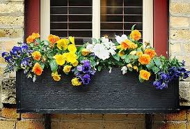 The flowers in this window box pop against the black wood shutters. Choose Flowers For Window Boxes