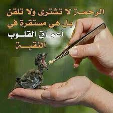 لا تكسر قلوب الآخرين فـ يجبر الله كسر قلوبهم و يكسر قلبك فـ القلوب ليست عظاما ت جبر بل أرواح ت قه ر Arabic Words Screwdriver Words