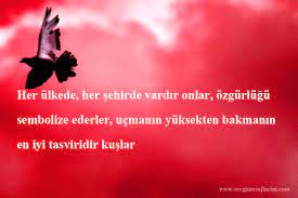 kuslar ile ilgili sozler kus guzel soz