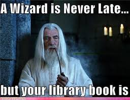 Cute sad cat meme meme generator. 73 Funny Reading Memes That Will Make All Book Lovers Laugh