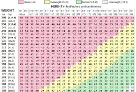 What Is Bmi How Do I Calculate It All Your Questions About
