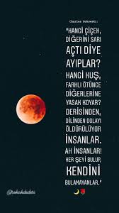 Nuriyeva Gulsum Adli Kullanicinin Sozler Panosundaki Pin Ilahm Veren Alintilar Guzel Soz Ozlu Sozler
