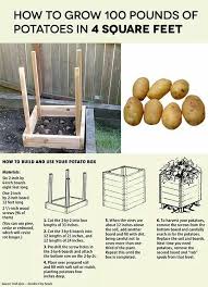 Potato Bins Make With Boards Or Use Large Plastic Laundry Baskets Gronnsakshage Minidrivhus Pallehage