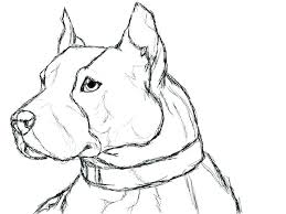 Pitbull printable coloring pages are a fun way for kids of all ages to develop creativity, focus, motor skills and color recognition. Pitbull Coloring Pages Best Coloring Pages For Kids