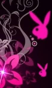 We hope you enjoy our growing collection of hd images. Neon Pink Playboy Wallpaper Download To Your Mobile From Phoneky
