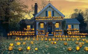 Mini pumpkins pumpkin patch pumpkin fall favorites fall vibes autumn leaves fall decor happy fall hello autumn. Pumpkin Patch Halloween Autumn Wallpaper Nature And Landscape Wallpaper Better