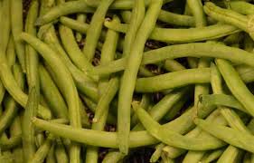 All vegetable name in hindi and english. à¤¸à¤¬ à¤œ à¤¯ à¤¨ à¤® à¤« à¤¯à¤¦ à¤¹à¤° à¤¸à¤¬ à¤œ à¤¯ à¤• à¤— à¤£ Sabjiyon Ki List Labh Gun Benefits Of Green Vegetables In Hindi