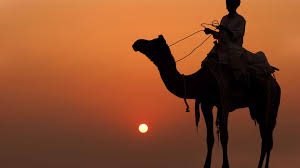 This famous fair is held during the hindu lunar month of 'kartika' (generally in october or november) every year. Adventures In India The Pushkar Camel Fair G Adventures