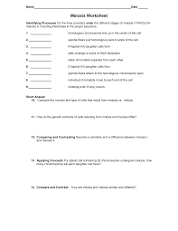 (see notes on mitosis) after meiosis i. Https Henryclayspoonamore Weebly Com Uploads 3 0 5 7 30573605 Meiosis Worksheet Pdf