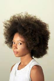 Pin By Lauren On Hair Chronicles Natural African American Hairstyles Afro Textured Hair Natural Hair Styles