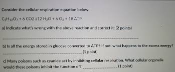 Small openings on the underside of a leaf that allow carbon dioxide to enter and oxygen and water. What Is Wrong With The Cellular Respiration Equation
