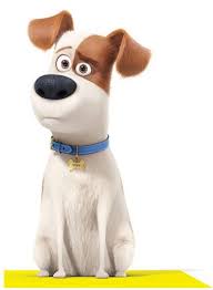 Max Secret Life Of Pets Papeis De Parede Animados Disney Fofa Papeis De Parede Para Iphone