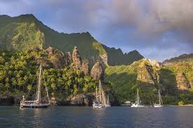 Image result for Marquesia