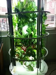 You can easily substitute other pots, as long as they come in graduated sizes to achieve the vertical garden tower effect. Juice Plus Tower Garden Aeroponic Sustainable Growlights Www Nikkiskidmore Towergarden Com Juice Plus Tower Garden Tower Garden Vertical Aquaponics