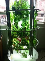 Plus, it comes with everything you. Juice Plus Tower Garden Aeroponic Sustainable Growlights Www Nikkiskidmore Towergarden Com Juice Plus Tower Garden Tower Garden Juice Plus