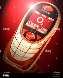 Der MM-Handy, Siemens S55, Anbieter O2 ...