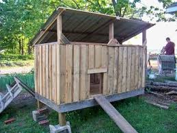Chicken Coops Made From Pallets Outdoor Living Chicken Coop Made From Pallets Chicken Coop Pallets Chickens Backyard Chicken Coop