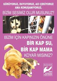 Ahmet Tan Adli Kullanicinin Hayvanlara Merhamet Et Panosundaki Pin Hayvan