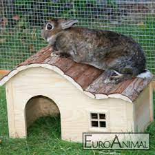 Hase haus 11 x 8,5 druck. Hasenhaus Gunstig Kaufen Ebay