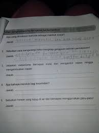Tolong Di Jawab Yaaaaaaaaaaaaa Brainly Co Id