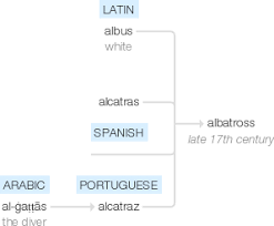 Refers to person, place, thing, quality, etc. ÙÙŠ Ø§Ù„Ø¹Ø±Ø¨ÙŠØ© Ù‚Ø§Ù…ÙˆØ³ Ø§Ù„ØªØ±Ø¬Ù…Ø©albatross Ù…Ø§ Ù‡Ùˆ Ù…Ø¹Ù†Ù‰ ÙƒÙ„Ù…Ø© Albatross Ù…Ø§Ø°Ø§ ØªØ¹Ù†ÙŠ