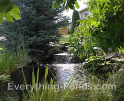 In reality it's all too exaggerated. Pond Designs Everything Ponds Com