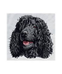 Image result for irský vodní španěl