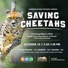 Don T Miss Saving Cheetahs Jacksonville Zoo And Gardens Facebook