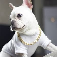Näytä lisää sivusta french bulldog puppies facebookissa. 20mm Cuban Chain For Dog Chain Dog Collar Gold Cuban Link Dog Chain Thick Choke Collar Metal Stainless Steel Heavy Duty Slip Dog Collars For Small Medium And Large Dogs Walmart Com