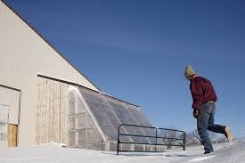 One which leads to the shed and one which leads to the greenhouse itself. Winter Veggie Gardens Bloom In Minnesota As Home Greenhouse Options Grow Mpr News